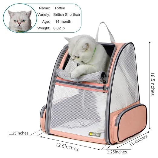Breathable Cat & Small Dog Backpack Carrier