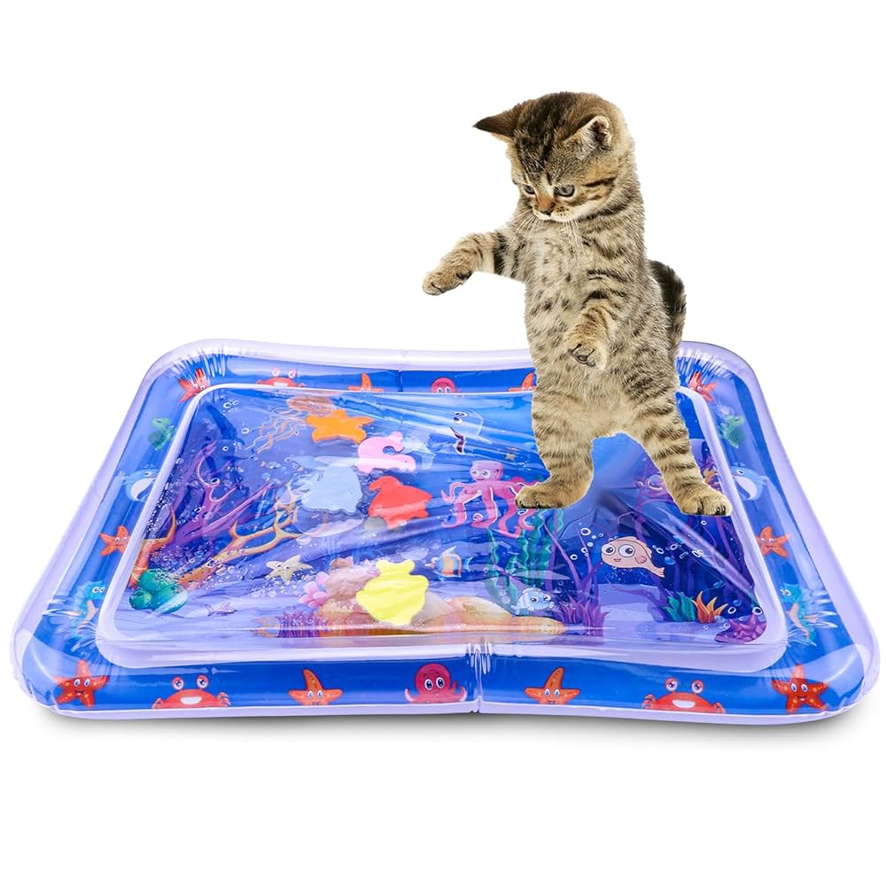 Pet Water Sensory Play Mat
