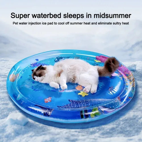 Pet Water Sensory Play Mat