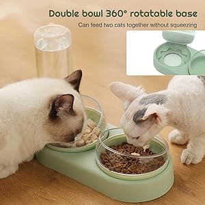 3 in 1 Dog Cat Bowls Water and Food Bowl Set