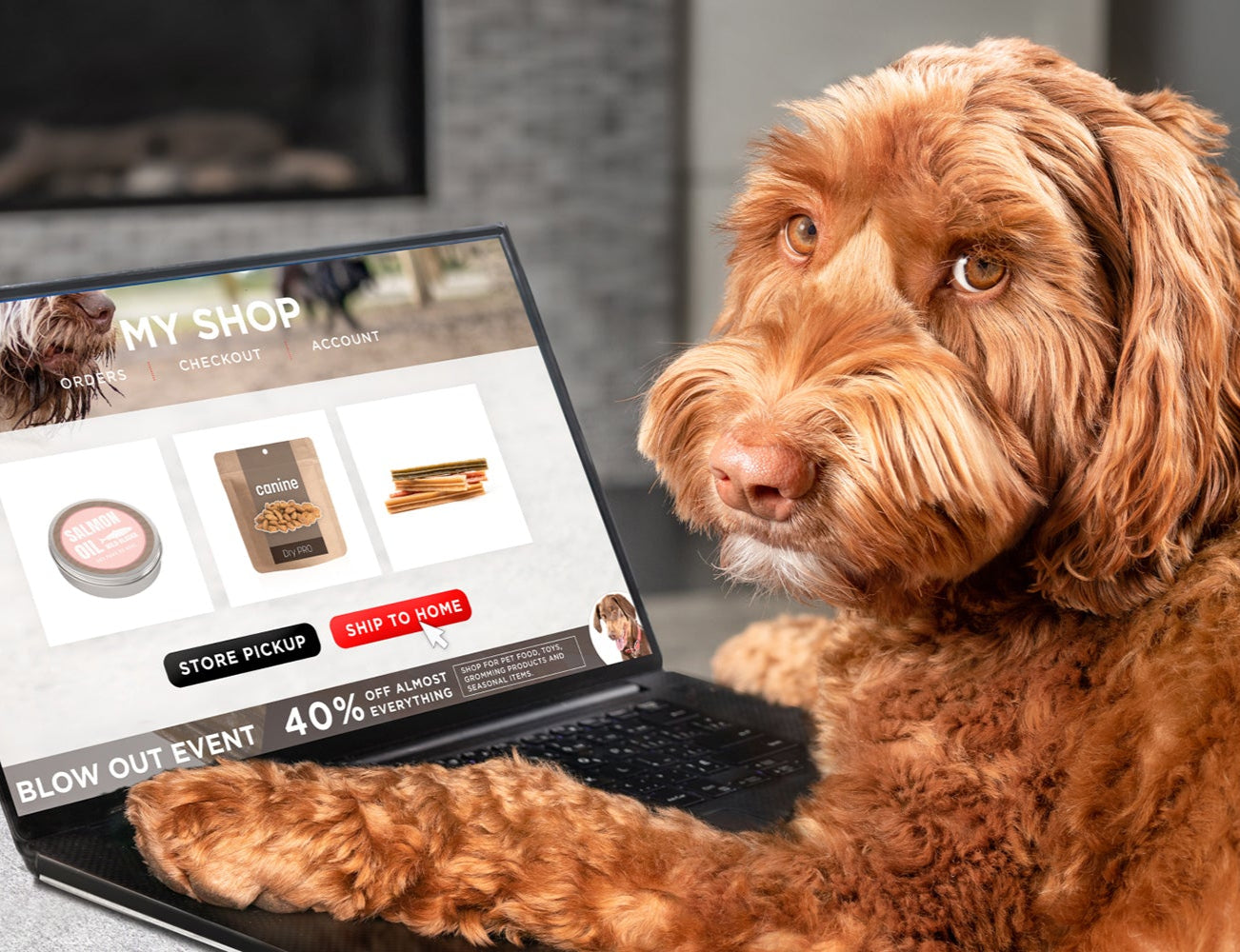 Home Page Banner Image